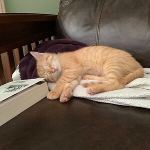 patricia_rix_3 avatar