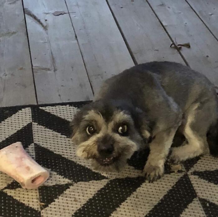 My Precious! Lead Actor In Lord Of The Bones