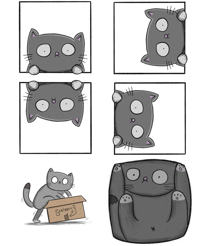 Funny comic panels showing a cat changing positions inside a box with unexpected dark humor twist.