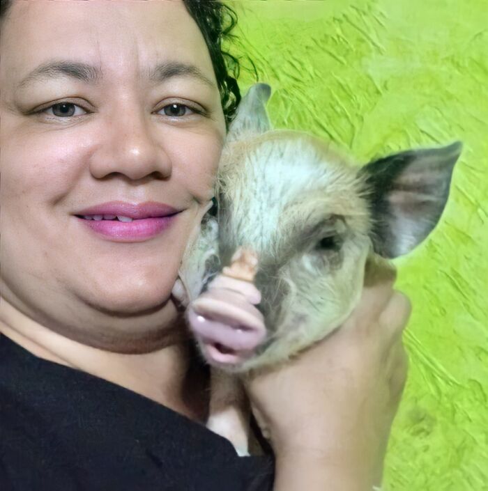 This Woman Thought She Was Buying A Mini Pig, But It Grew Into A 551-Pound Swine That Is Adored By Its Family Despite Its Size