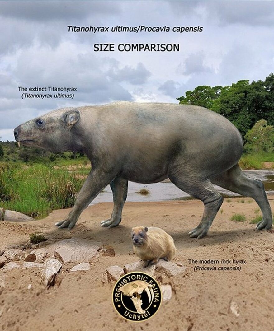 Artist Continues To Make Comparisons Between The Sizes Of Prehistoric Animals And Their Modern Relatives (20 New Pics)