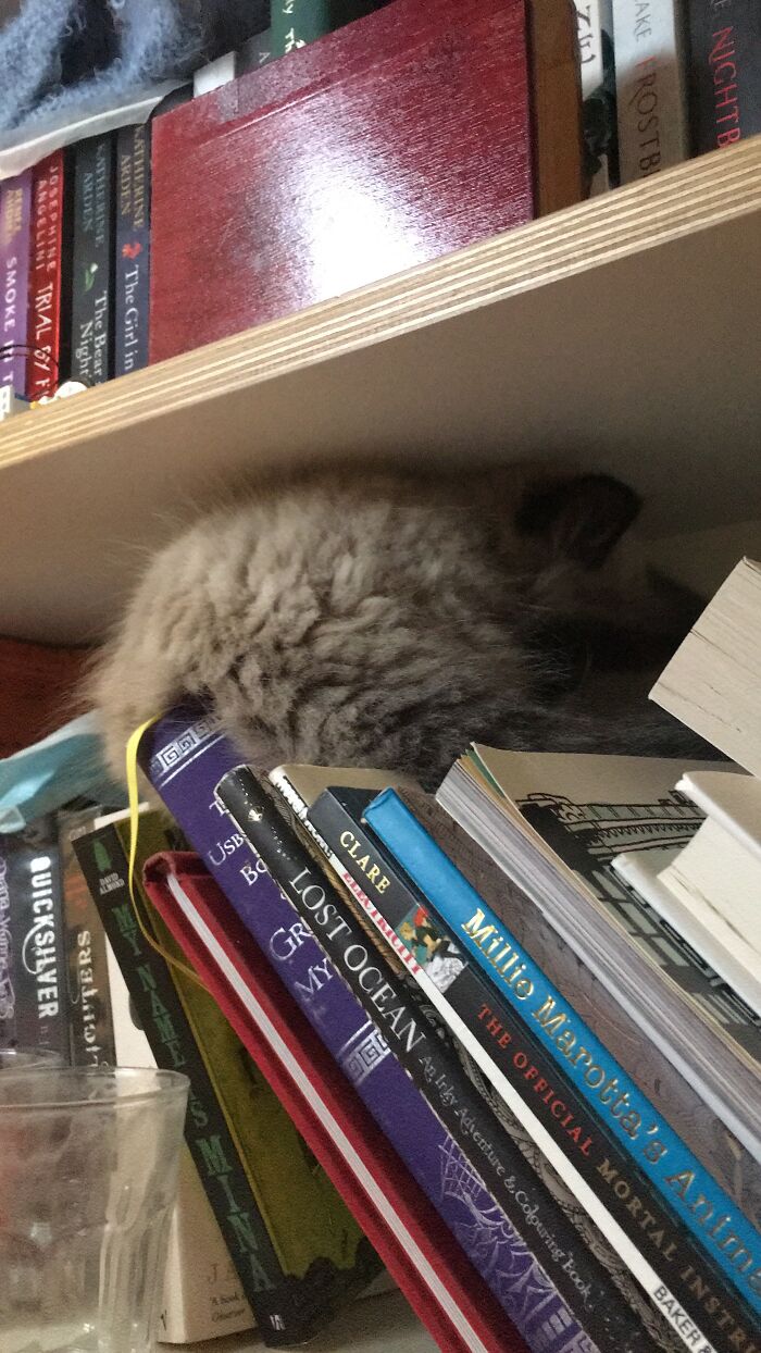 Hum Very Comfortable