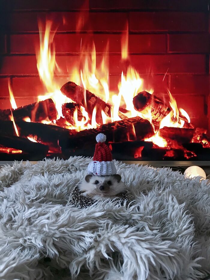 Waiting For Christmas