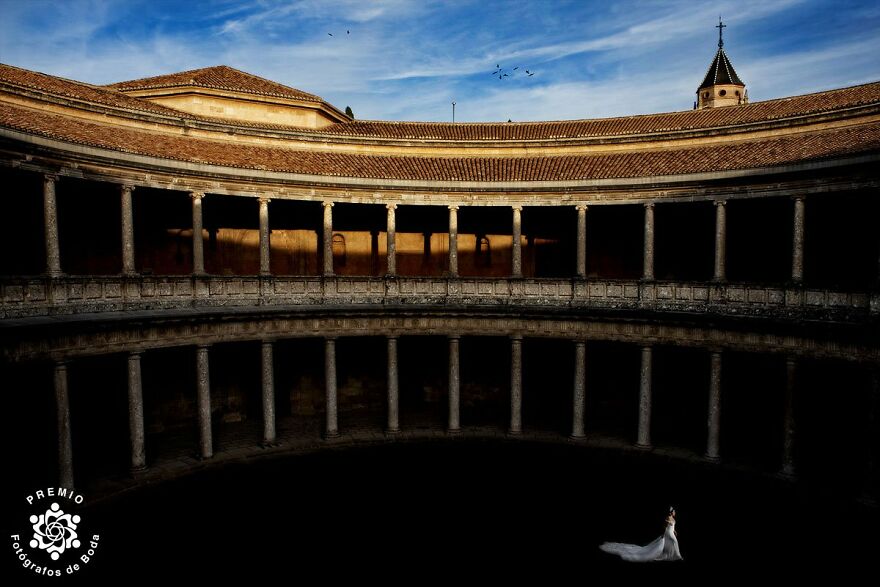 "An Amazing Venuel" By Fraco