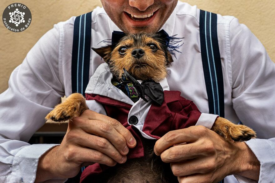 "Hello There!" By Jose Ignacio Ruiz