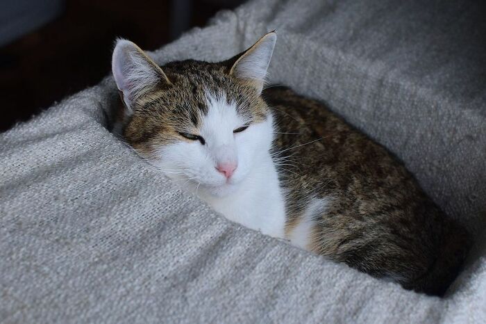 She Found That Comfy Spot