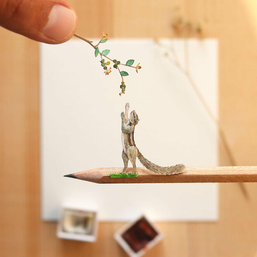 Indian Palm Squirrel