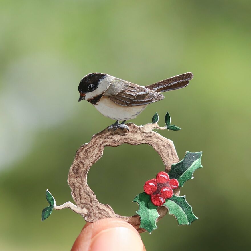 Carolina Chickadee
