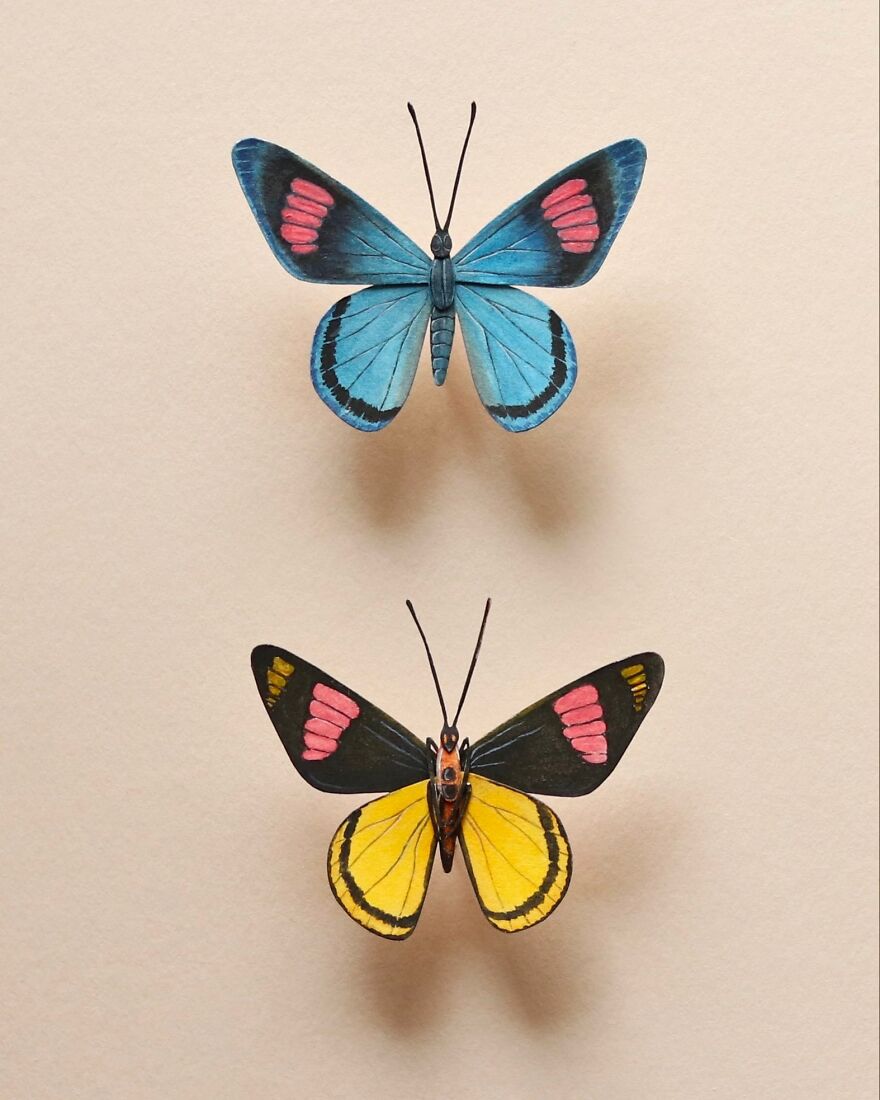 Painted Beauty Butterfly