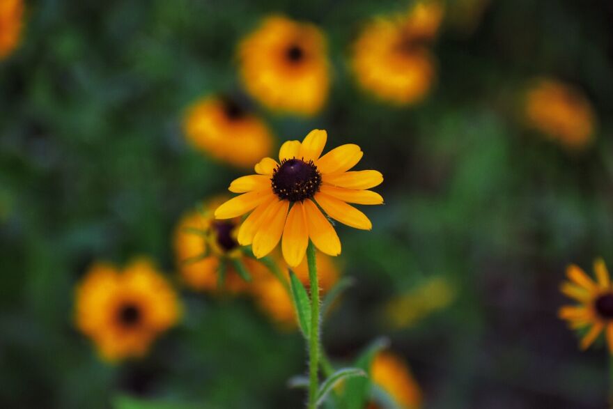 I Took These Photos, And I&rsquo;m Very Proud Of Them!