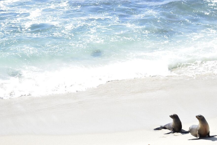 I Took These Photos, And I&rsquo;m Very Proud Of Them!