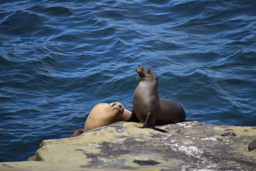 I Took These Photos, And I&rsquo;m Very Proud Of Them!