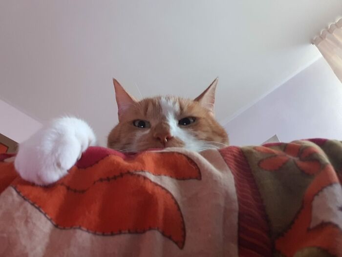 I Is Watching You...