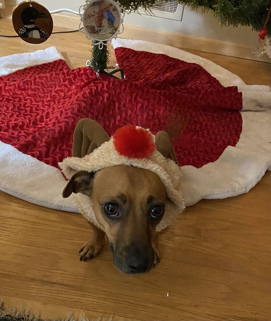 Comet Had A Photoshoot