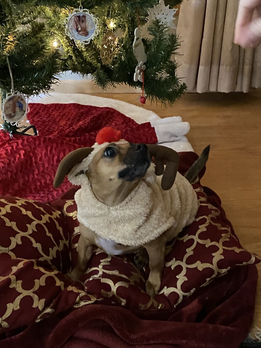 Comet Had A Photoshoot