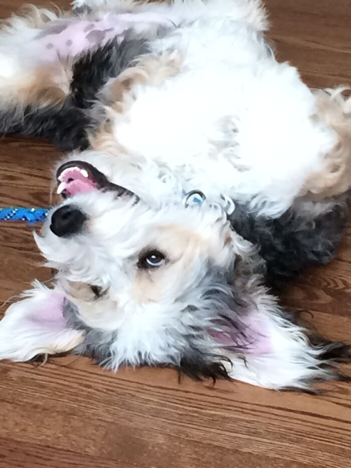 Just A Liiiittle Demonic