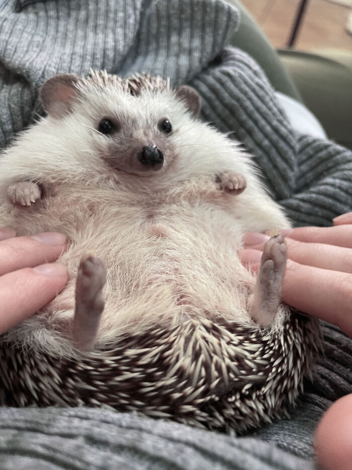 Boys Think Girls Like To Touch Six-Pack. What Girls Actually Like To Touch: