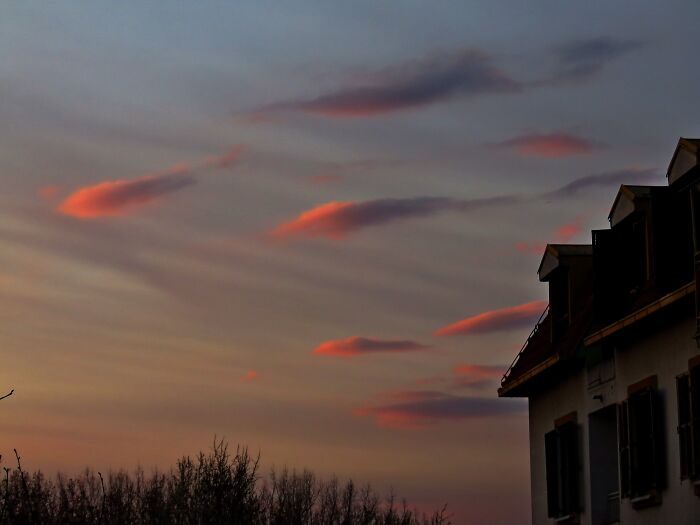 Magical Celestial Fish :d