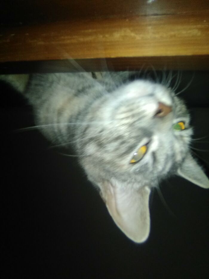 Feel Like Someone Is Watching Me... Opened My Eyes To This Staring Down Off The Headboard!