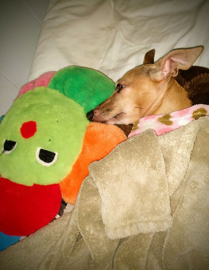 Gia Smelling Her Flower