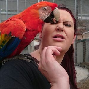 braineatingspleen avatar