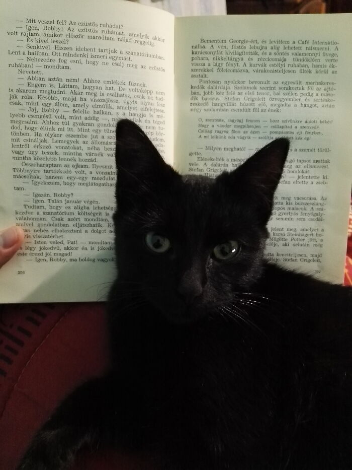 Stop Reading, I'm Here