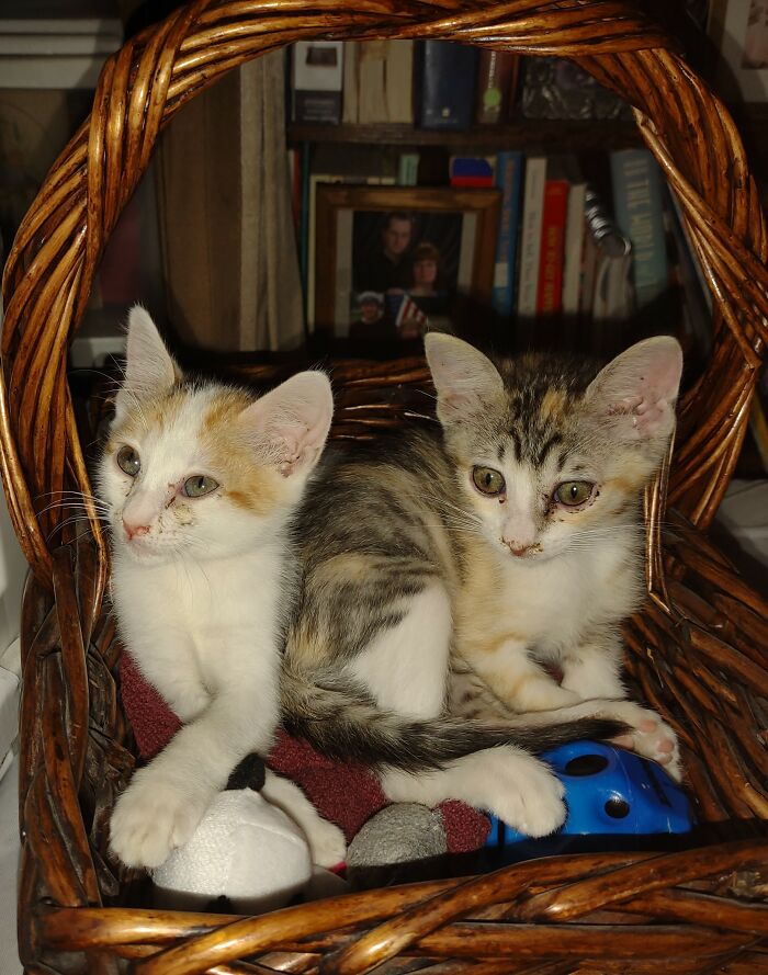 My Girls Katie And Missy