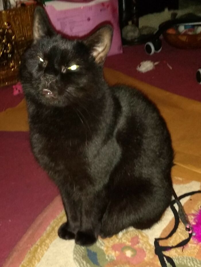 She Sleeps In My Bed... Feeling Anxious