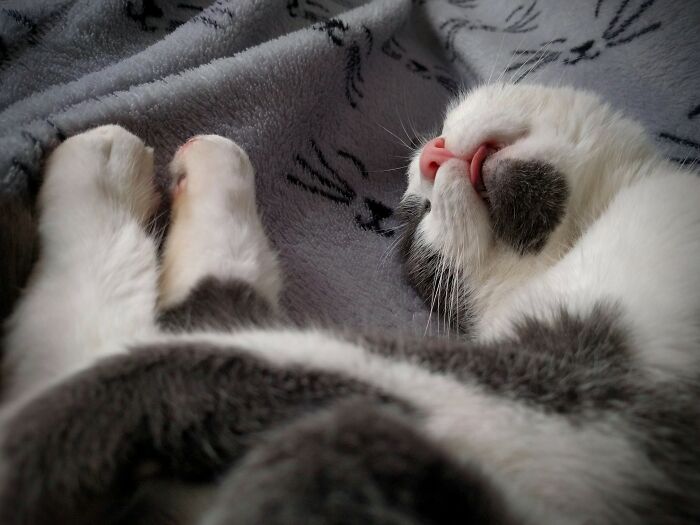 Relaxing Allllll My Musclesss