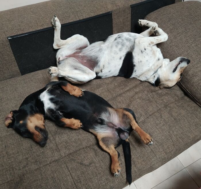 How's This For Comfy?