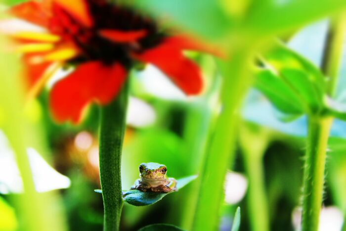 All We Need Is A Princess. . .