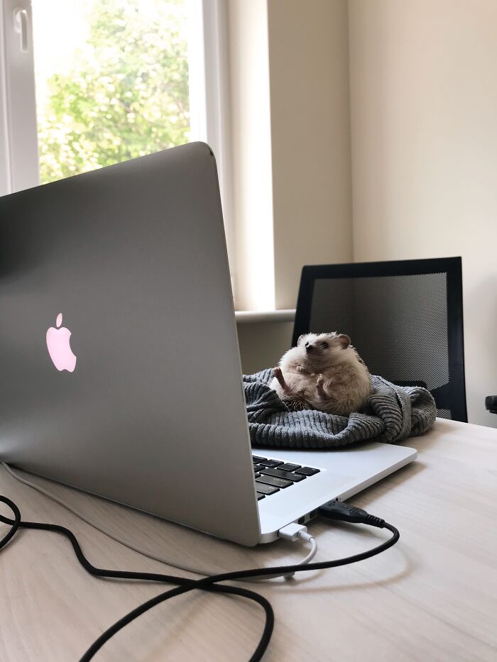 Time For Big Business