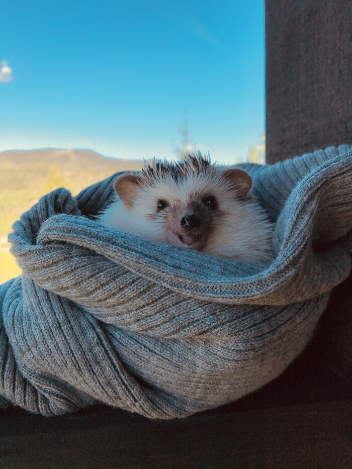 A Smile A Day Keeps The Doctor Away