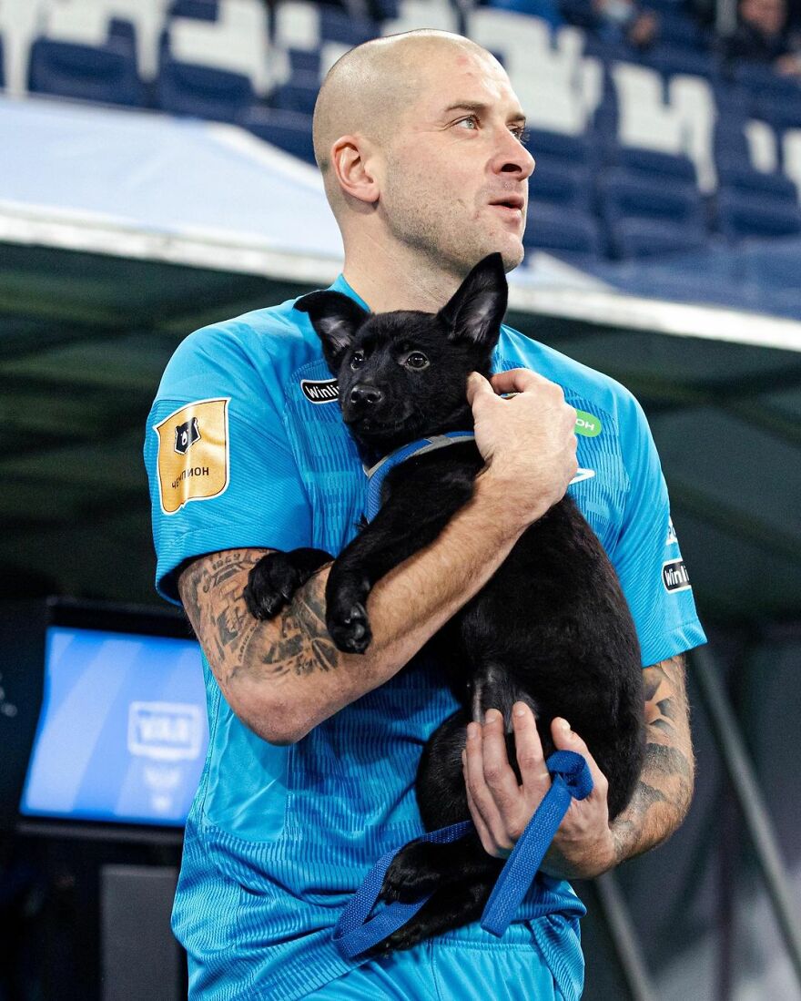 In Russia Football Players Take To The Field With Dogs To Encourage Adoption