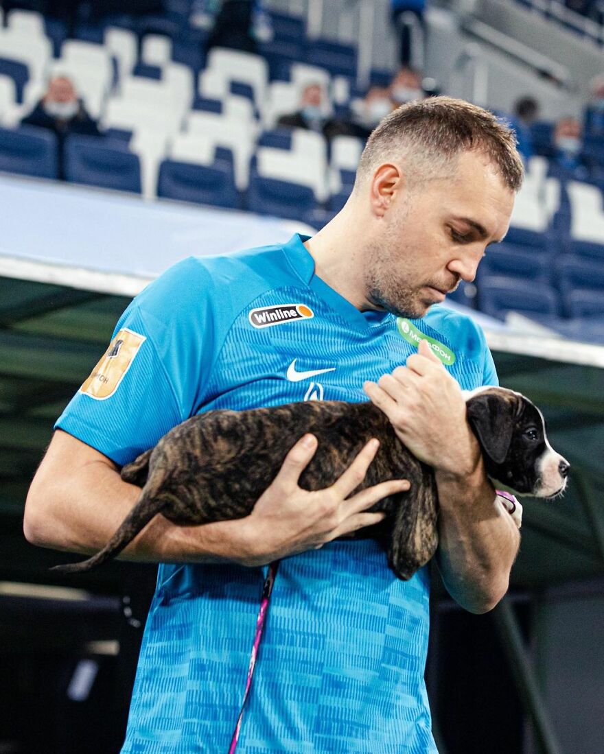 In Russia Football Players Take To The Field With Dogs To Encourage Adoption