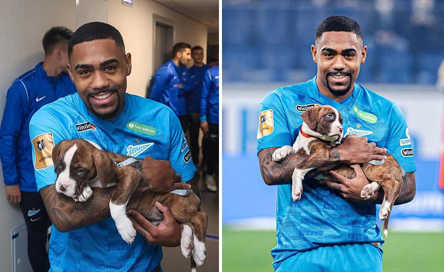 In Russia Football Players Take To The Field With Dogs To Encourage Adoption