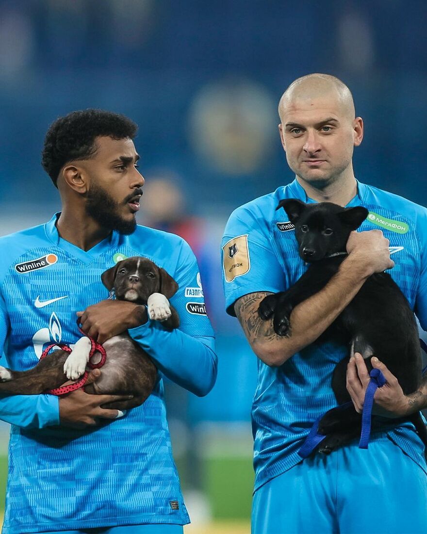 In Russia Football Players Take To The Field With Dogs To Encourage Adoption