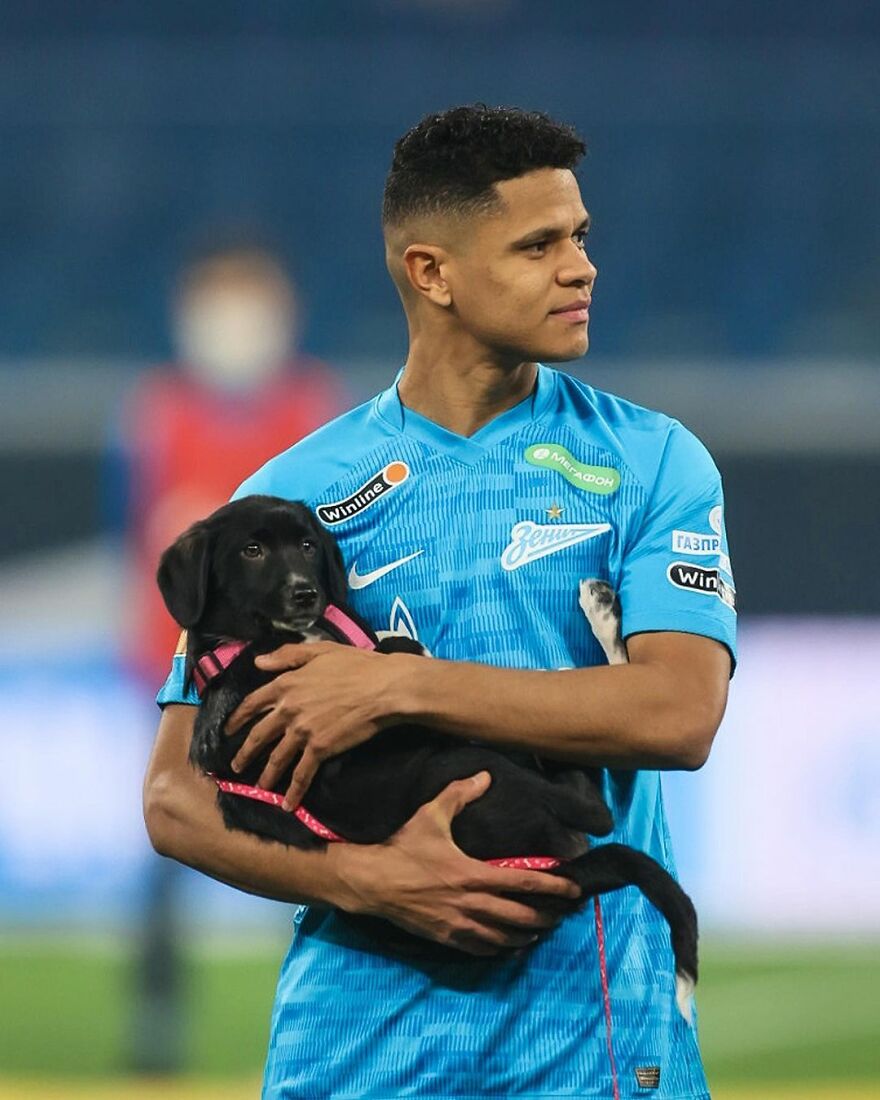 In Russia Football Players Take To The Field With Dogs To Encourage Adoption