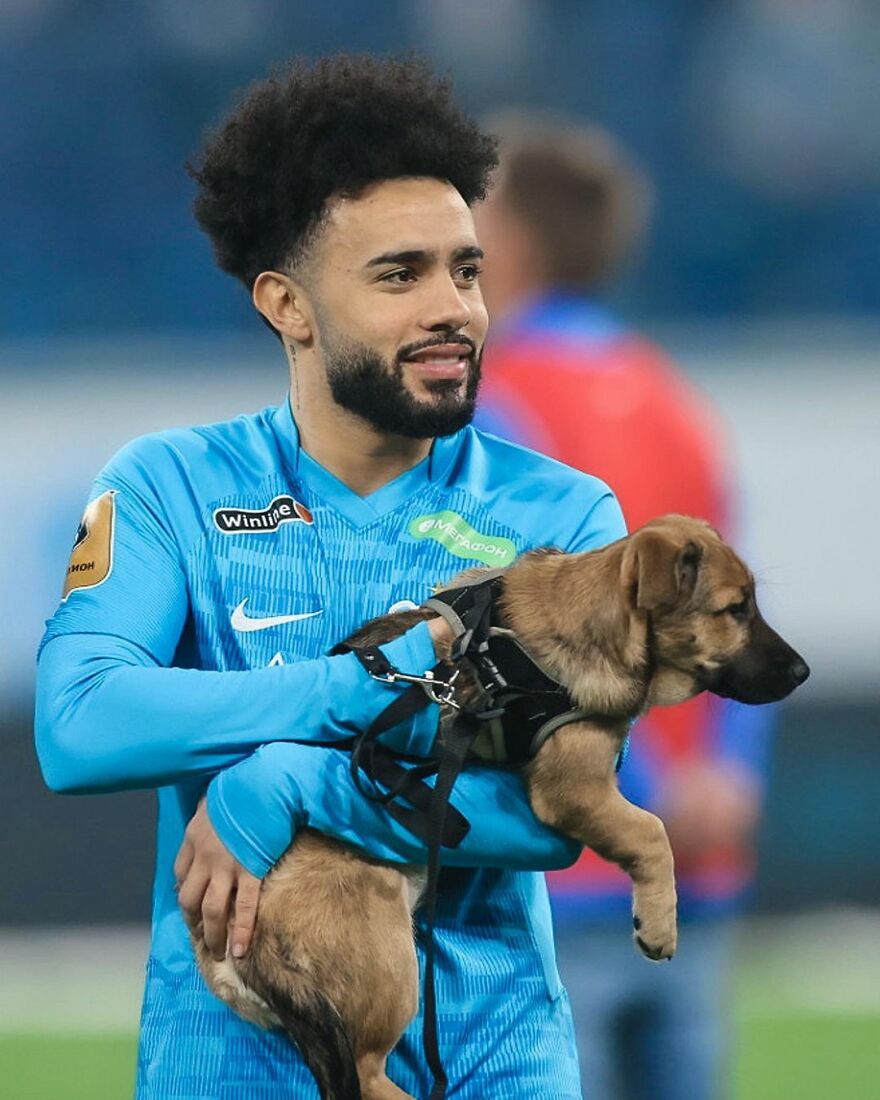 In Russia Football Players Take To The Field With Dogs To Encourage Adoption