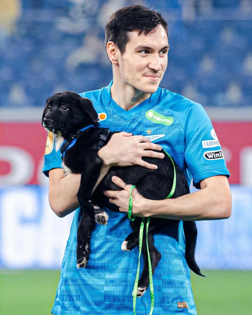 In Russia Football Players Take To The Field With Dogs To Encourage Adoption