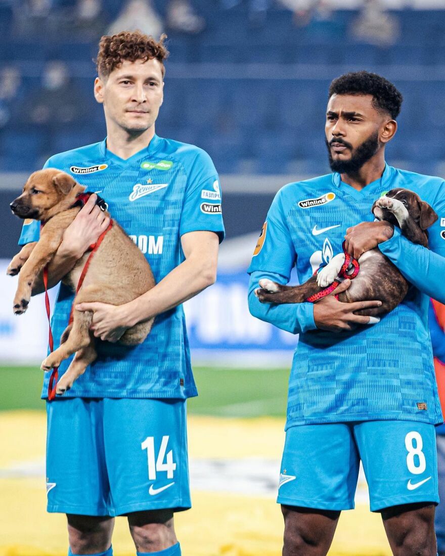 In Russia Football Players Take To The Field With Dogs To Encourage Adoption