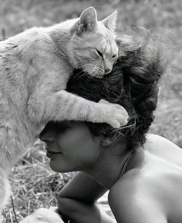 Pierre Jamet's Photo