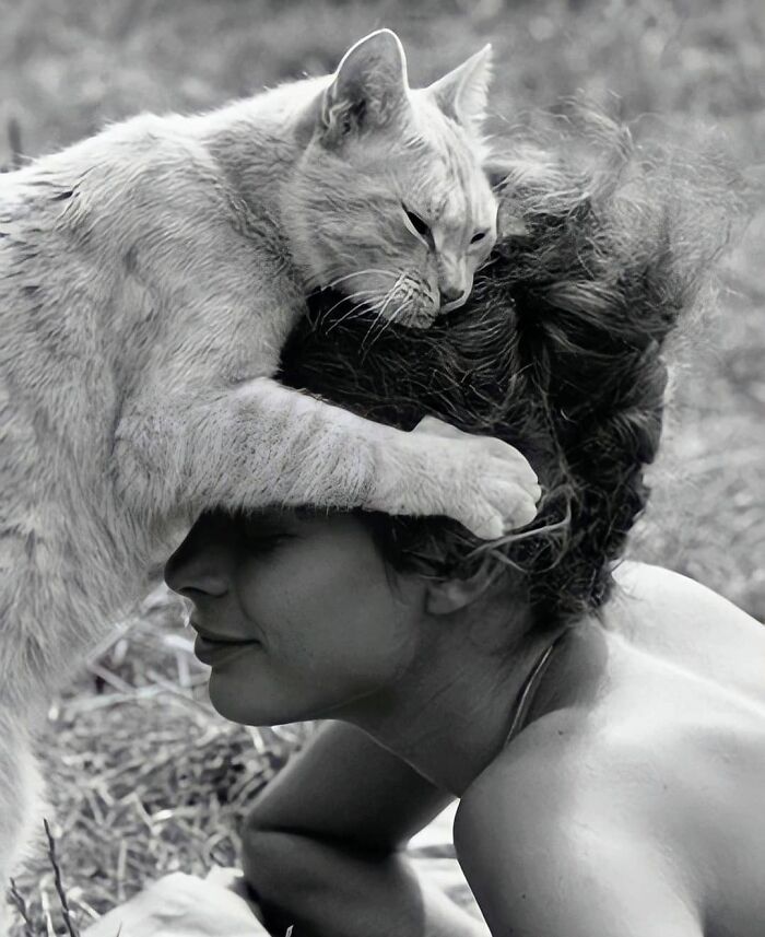 La foto de Pierre Jamet