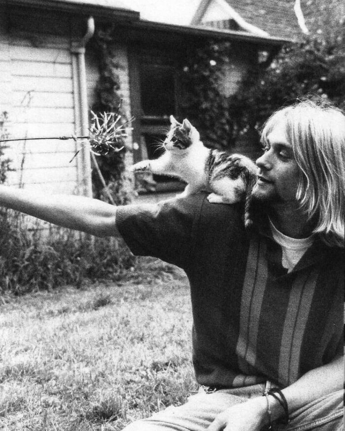Kurt Cobain