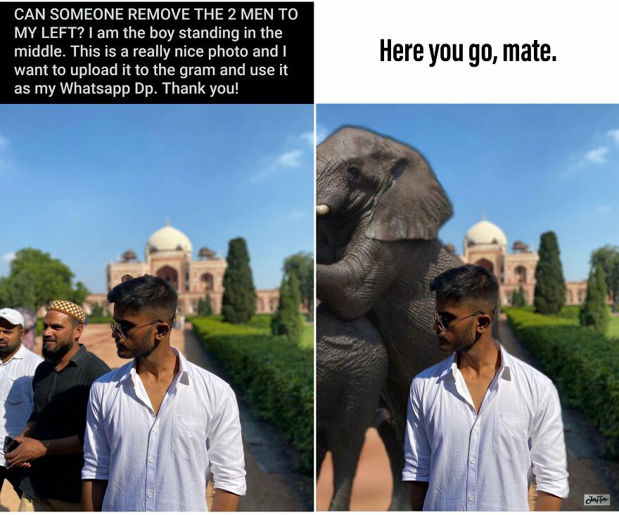 Instructions Unclear