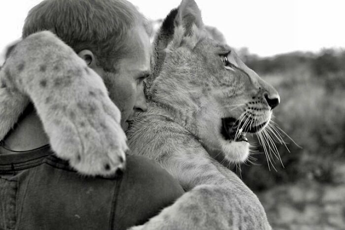 This Lioness Repays Her Caregiver Of 10 Years With Hugs And Cuddles