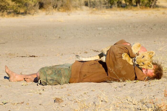 This Lioness Repays Her Caregiver Of 10 Years With Hugs And Cuddles