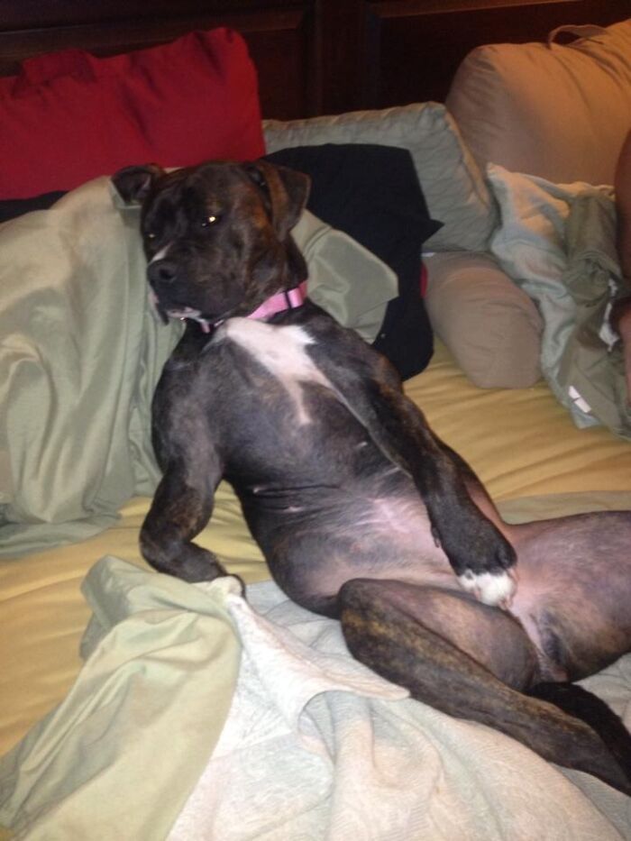 I Got Up For One Minute...this Is Lucy.