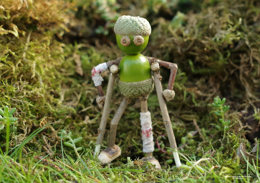 Meet The Acorn People Of Shirebrook Valley Meet The Acorn People Of Shirebrook Valley