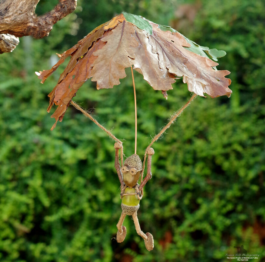 Meet The Acorn People Of Shirebrook Valley Meet The Acorn People Of Shirebrook Valley